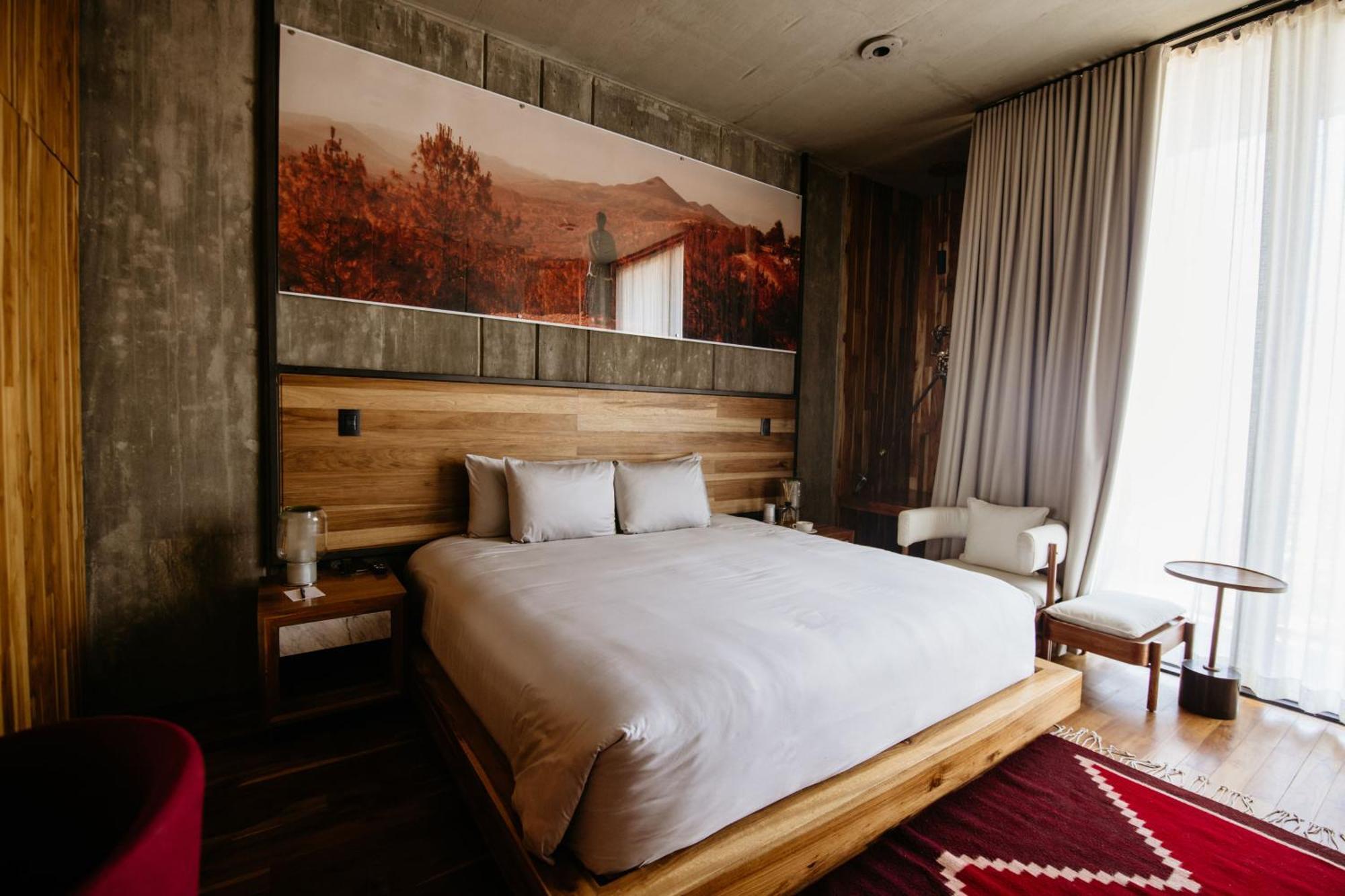 Flavia Hotel Oaxaca ห้อง รูปภาพ